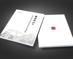 泰安三里美術館畫冊